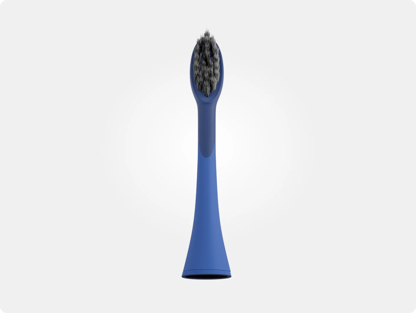 Pro Brush Replacement Head - Image 14