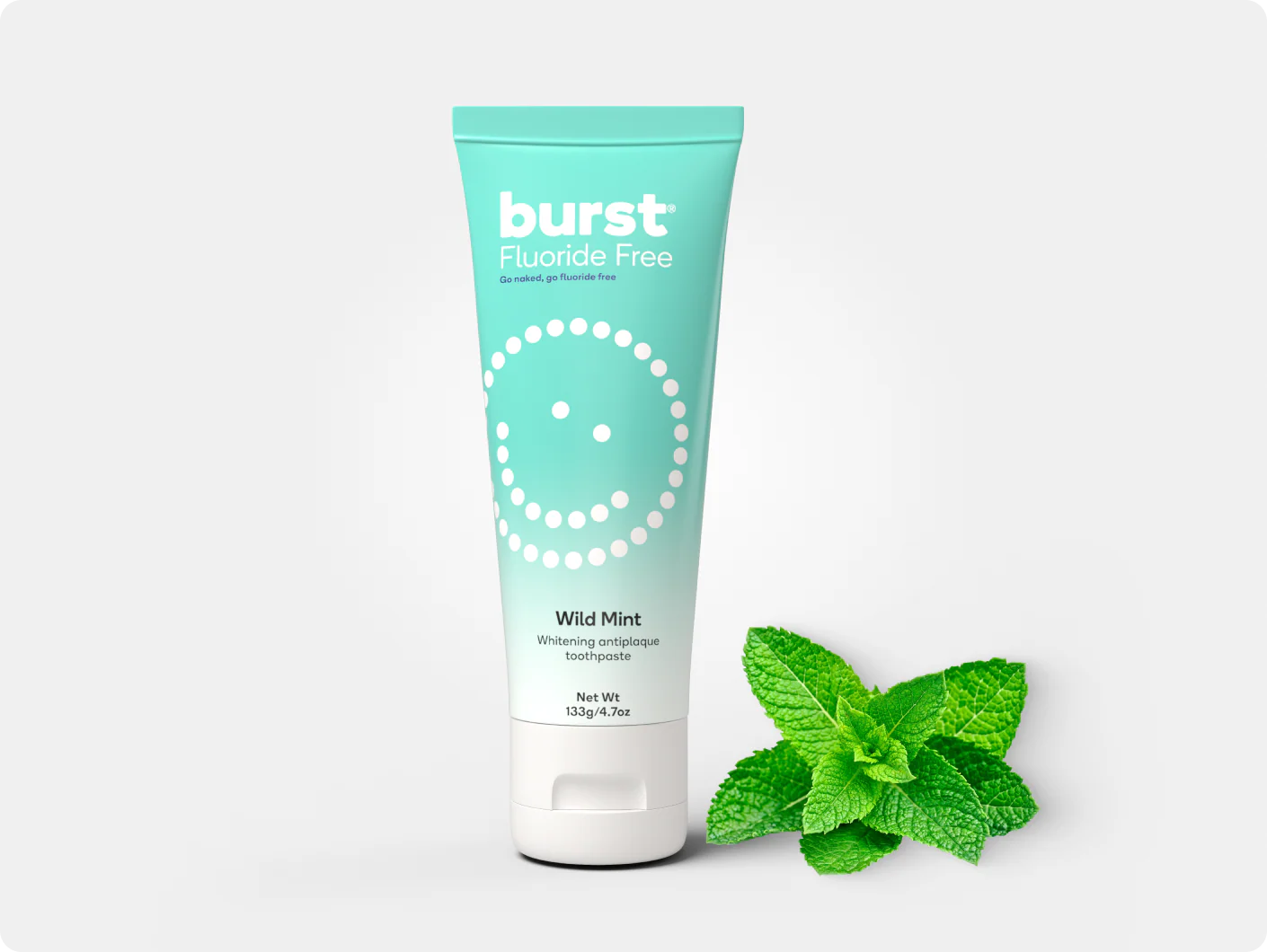 Natural Wild Mint Toothpaste Refill